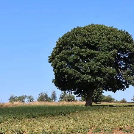 Hawthorn בית נופש
